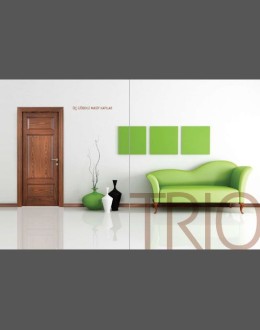 Sidoorsa Masif Kapı